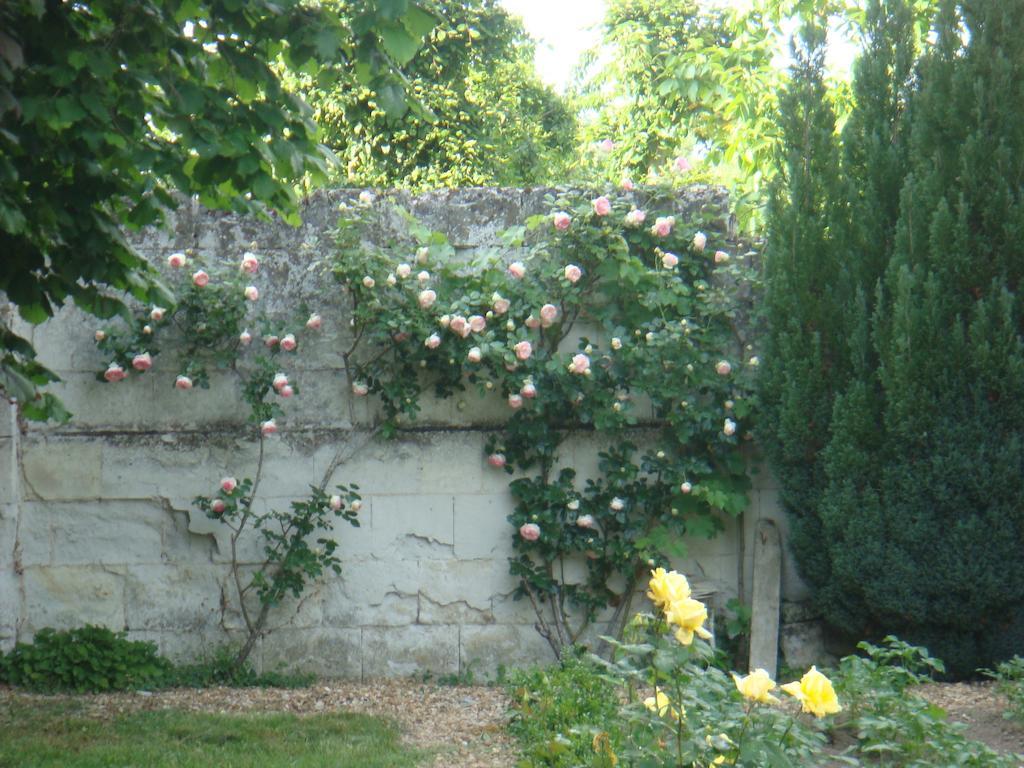 Villa Chanelle Les Rosiers Exterior foto